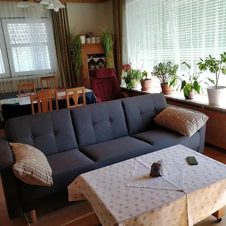 Schone Haushalfte Mit Terrasse Im Salzkammergut Ebensee